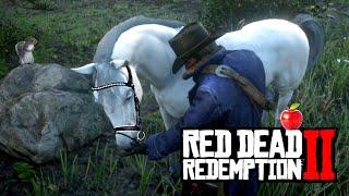 RDR2: Explaining how bonding levels work with your horse and the importance!