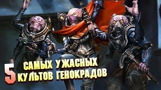 5 Самых Больших Культов Генокрадов в Warhammer 40000