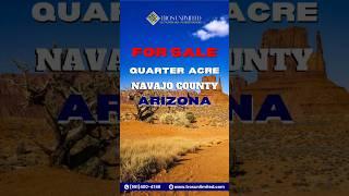  Land for sale - 0.24 Acre in Navajo county Arizona USA #landforsale #rawland  #realestate #shorts