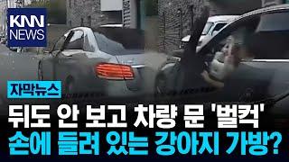 골목 주행 중 황당 개문 사고...뒤도 안 보고 차량 문 '벌컥'/ KNN