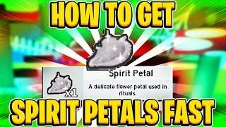 Fastest Way To Get A Spirit Petal In Roblox Bee Swarm Simulator