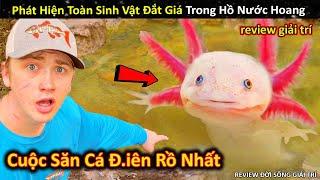 Phát Hiện Đủ Loài Sinh Vật Độc Lạ Triệu Đô Trong Hồ Nước Bỏ Hoang || Review Giải Trí Đời Sống