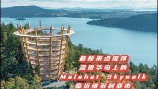 加拿大BC省温哥华岛空中步道Malahat Skywalk 值得您一游！