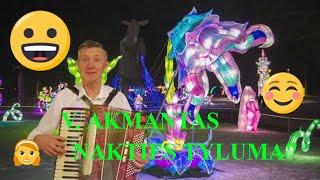 ''Nakties tyluma''   2021 12 13 Vido Akmanto autorinė daina