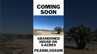 Abandoned home on 5 acres #fixer #developmentopportunity #pearblossom