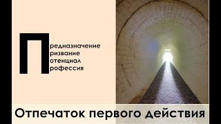 Процесс рождения или первый опыт действия. Его влияние на способ действия по жизни, в деятельности