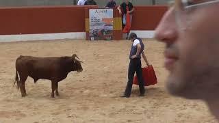 Toros La Almarcha San Bartolomé 2023