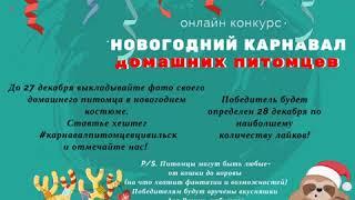 Новогодний карнавал домашних животных