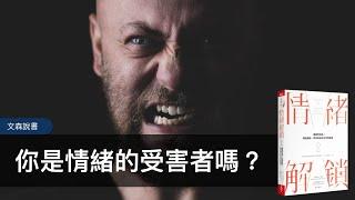 如何不讓情緒接管人生？職場怎麼會變成情緒的勒戒所｜《情緒解鎖》｜文森說書