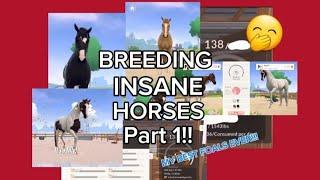 BREEDING INSANE HORSES PART 1!! *equestrian the game*