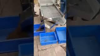 BSF Sieving machine linear vibratory sieve