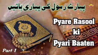 Pyare Rasool Ki Pyari Baaten  || Part 1 || Quran Aur Hadees