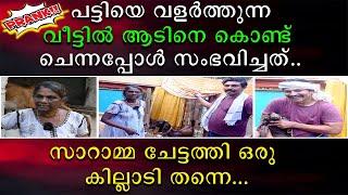 പട്ടിയെ വളർത്തുന്ന വീട്ടിൽ ആടിനെ കൊണ്ട് ചെന്നപ്പോൾ സംഭവിച്ചത് | സാറാമ്മ ചേച്ചി ഒരു കില്ലാഡി തന്നെ