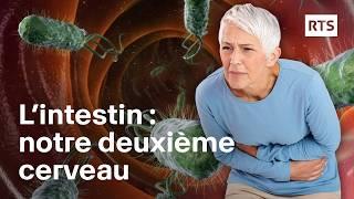 Microbiote et cerveau: la santé mentale réside-t-elle dans l’intestin ? | RTS