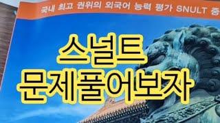 스널트 중국어 #중국어자격증 #스널트 #snult중국어 #정아쌤중국어 독해 문제