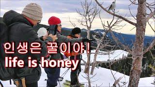 인생은 꿀이야  life is honey