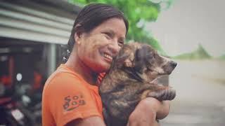 Moe's Healthy Pets: Soi Dog