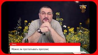  Что произойдёт, если проглотить прополис 