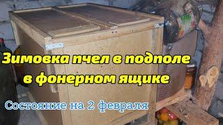 Как проходит зимовка пчёл в подполе в фанерном ящике! Состояние на 2 февраля