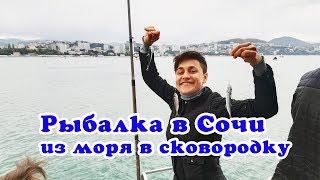 Рыбалка в Сочи - ставрида с катера - куда сходить в Сочи - VO Time