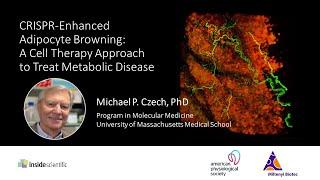 CRISPR-Enhanced Adipocyte Browning: A Cell Therapy Approach to Treat Metabolic Disease