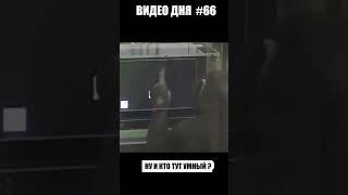 Video of the day #66.