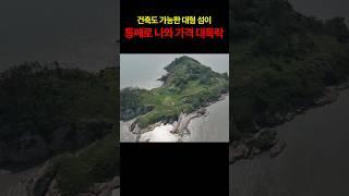 건축도 가능한 대형 섬이 통째로 가격 대폭락 했습니다 #오지 #경매 #섬 #토지 #부동산 #자연인땅