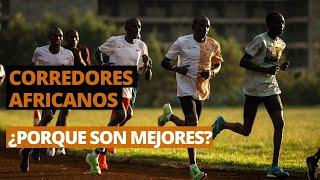 La superioridad de los Corredores Africanos: El Porqué