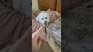 Wait for it 