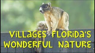 The Villages in Florida - Wonderful Nature