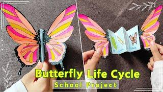  Butterfly Life Cycle School Project / Model -  School Science Project Ideas  #schoolcrafts