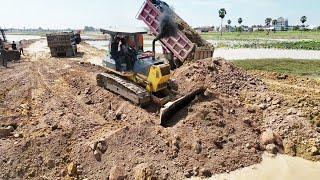 Nicely Project Bulldozer KOMATSU D58P, D61PX Building New Road in Water, 15ton Truck Unloading Stone