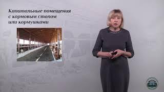 6 4  Помещения для содержания мясного скота