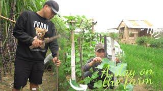 Day in the Life of a Small Farm | My beautiful garden