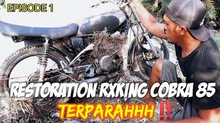 RESTORATION RXKING COBRA 85 TERPARAHHH‼️