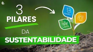 TRIPÉ da SUSTENTABILIDADE | Quais são os TRÊS pilares principais do Desenvolvimento Sustentável? 