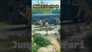 Nehru జూ పార్క్ | 100 Spots in Hyderabad | Spot 4      #nehruzoopark  #hyderabad #trending #travel