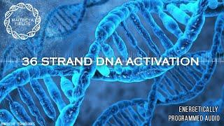 36 Strand DNA Activation / Energetically Programmed Audio / Maitreya Reiki™