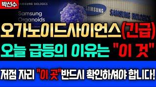  오가노이드사이언스 - 단기 급등의 이유는 이 것?! 내일 흐름 "이 자리" 반드시 확인하셔야 합니다! 대응 전략 이렇게 이해하세요!