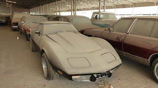 We Found Loads Of Extremely Rare Supercars Hidden In A Basement Worth Millions Dollars IN DUBAI !