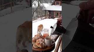  #жизньвпотоке #любовь #жизньвкайф #душапоёт #жизньпрекрасна #любовьксебе #любовьнарасстоянии