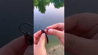 Mồi câu lure - nhái hơi, action, câu lure cá lóc, mồi mềm  | Fishcamp Việt Nam #4 #fishinglure