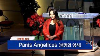 Panis Angelicus(생명의 양식) | 2022.12.24 문산교회