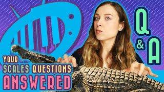 Piano Q&A: Your Scales Questions, Answered