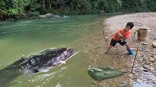 Long video of the best ways to catch fish by Highland Boy Khai Collection of the most popular videos