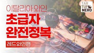 이탈리아 와인 초보자 완전정복 - 영상 한 편으로 끝내는 레드 와인편