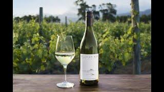 Cloudy Bay Sauvignon Blanc 2019