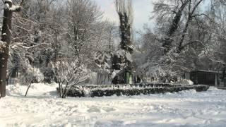 Iarna in parcul Cismigiu, Bucuresti, 21 ianuarie 2016