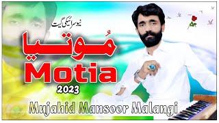 Motia | Hik Phul Motiye Da | Mujhaid Mansoor Malangi | New Song 2023 | Nadeem Sound Bhera