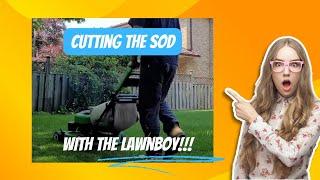 Effortless Lawn Care: Lawn Boy Mower Tackles New Backyard Sod | Farmer Dad In The City